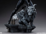 DC Comics Catwoman 35 cm 1/6 Maquette