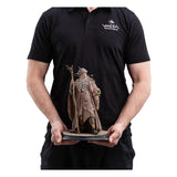 The Lord of the Rings Radagast 30 cm 1/6 Statue