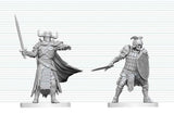 Dungeons & Dragons Nolzur's Marvelous Miniatures Unpainted Miniature Death Knight & Death Knight Aspirant 14 cm