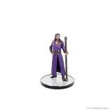 D&D Icons of the Realms Planescape Baldur's Gate 3 Character Boxed Set Pre-Painted Miniatures