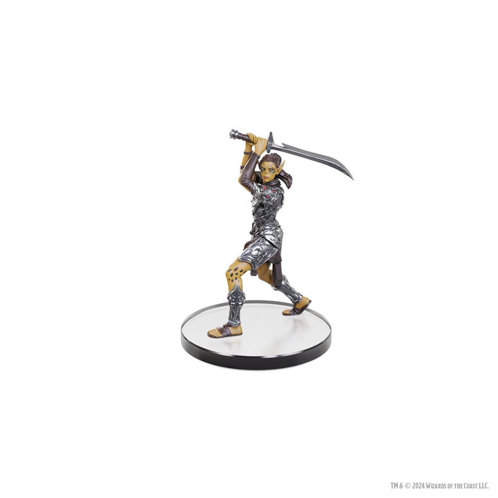 D&D Icons of the Realms Planescape Baldur's Gate 3 Character Boxed Set Pre-Painted Miniatures