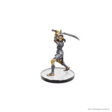 D&D Icons of the Realms Planescape Baldur's Gate 3 Character Boxed Set Pre-Painted Miniatures