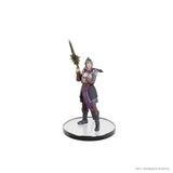 D&D Icons of the Realms Planescape Baldur's Gate 3 Character Boxed Set Pre-Painted Miniatures