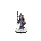 D&D Icons of the Realms Planescape Baldur's Gate 3 Character Boxed Set Pre-Painted Miniatures