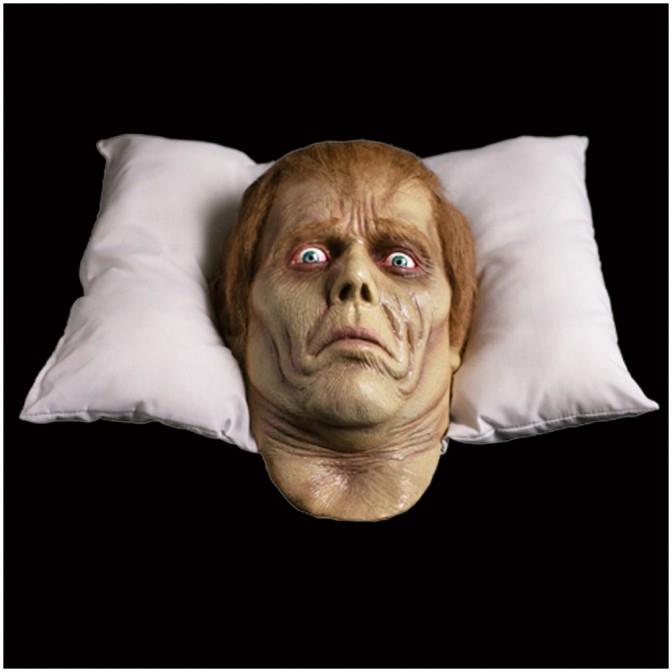 Dawn of the Dead Roger Pillow Pal
