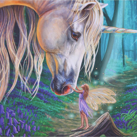 Lisa Parker Fairy Whispers Journal 17cm