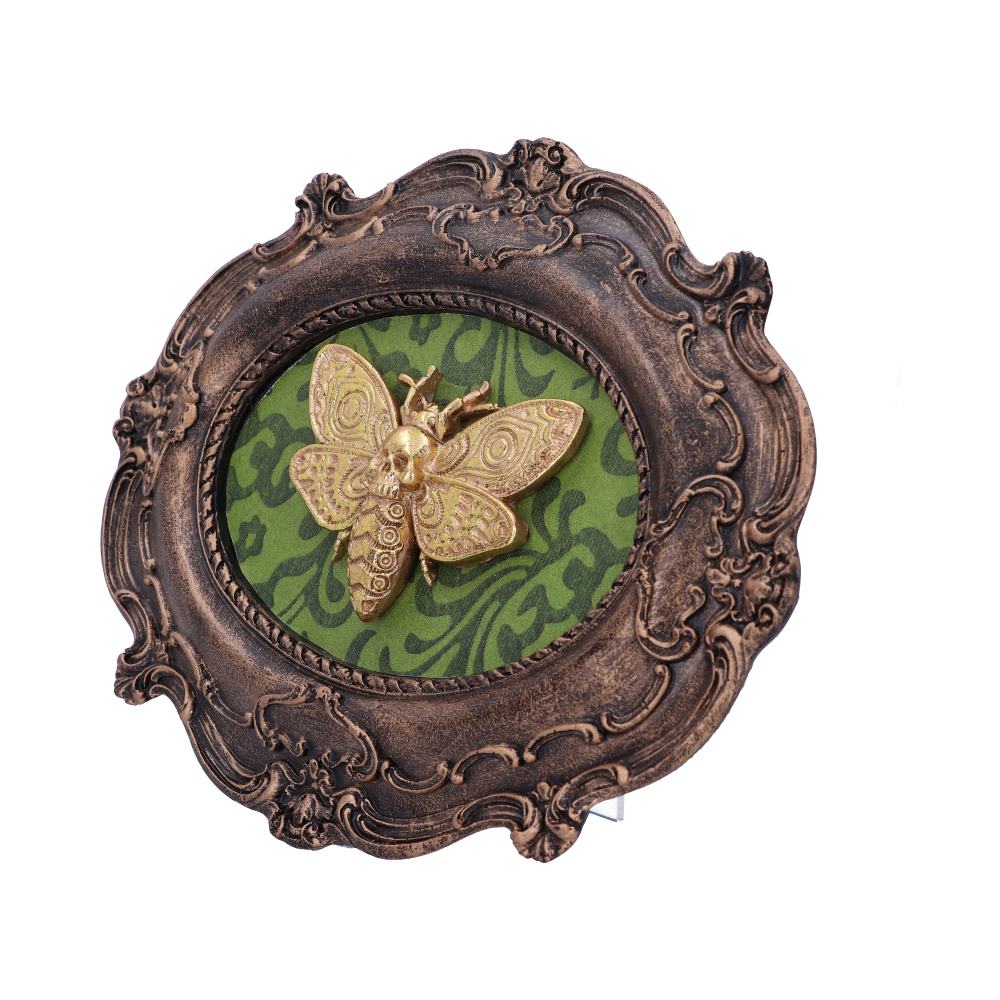 Moth Macabre Baroque Framed Death's Head Moth Wall Plaque
