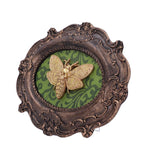 Moth Macabre Baroque Framed Death's Head Moth Wall Plaque