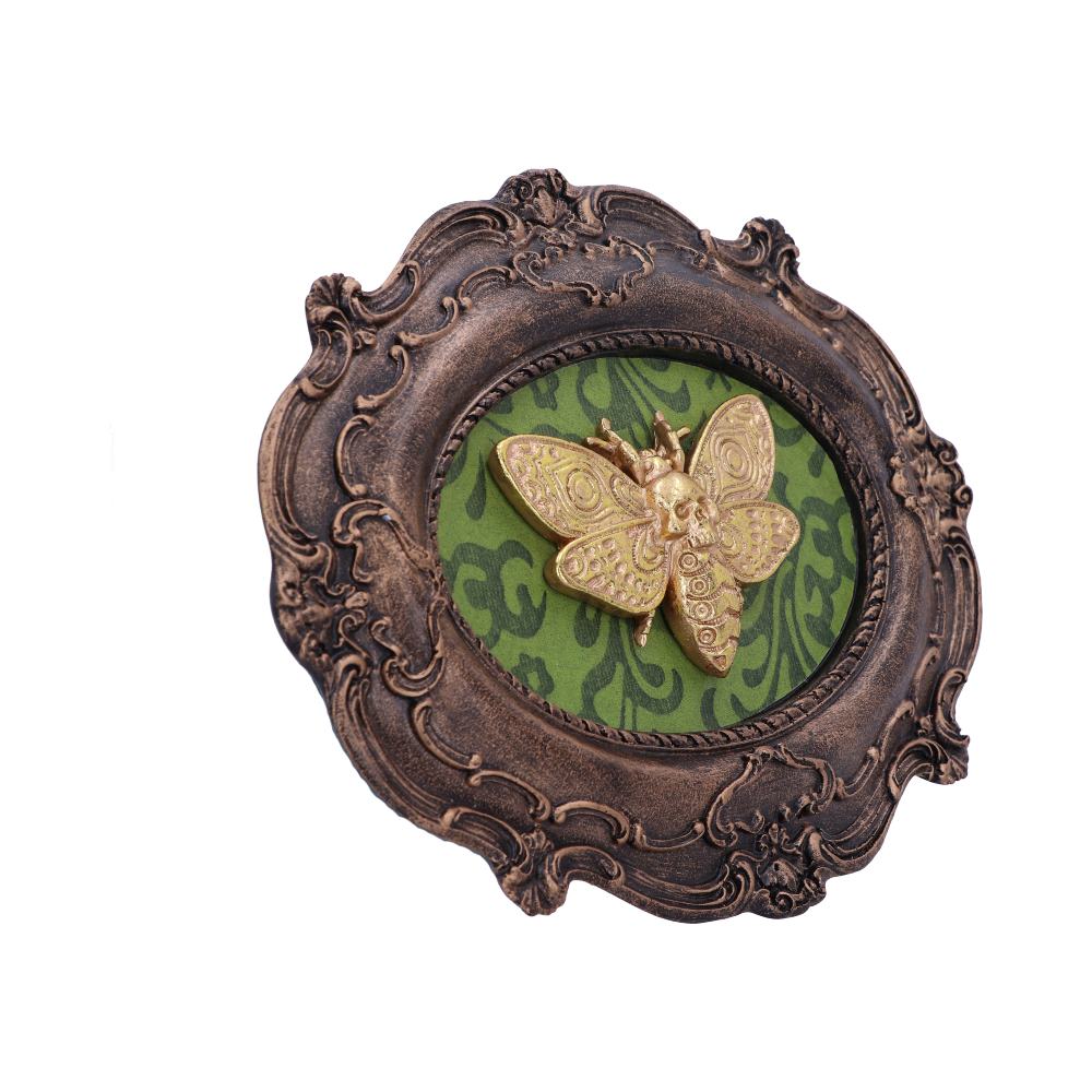 Moth Macabre Baroque Framed Death's Head Moth Wall Plaque