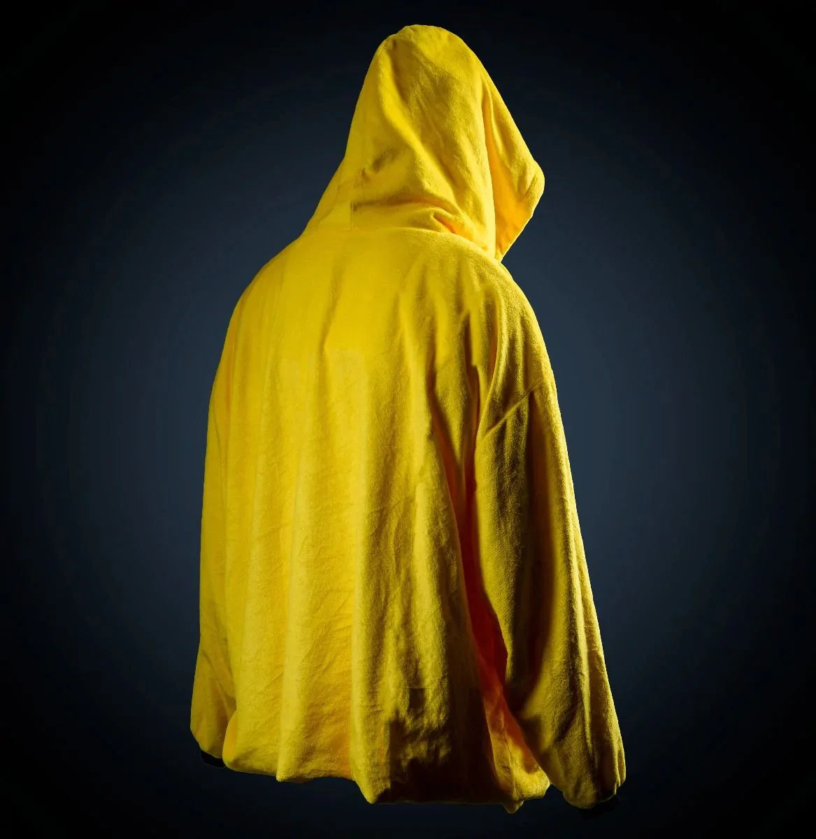 Hufflepuff 2025 hooded blanket